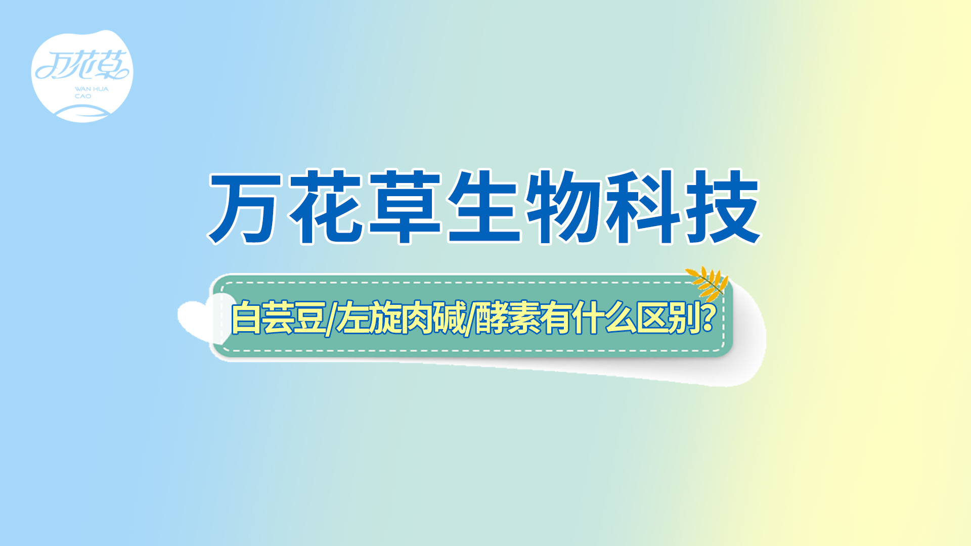 白蕓豆、左旋肉堿、嗨吃酵素有什么區(qū)別？